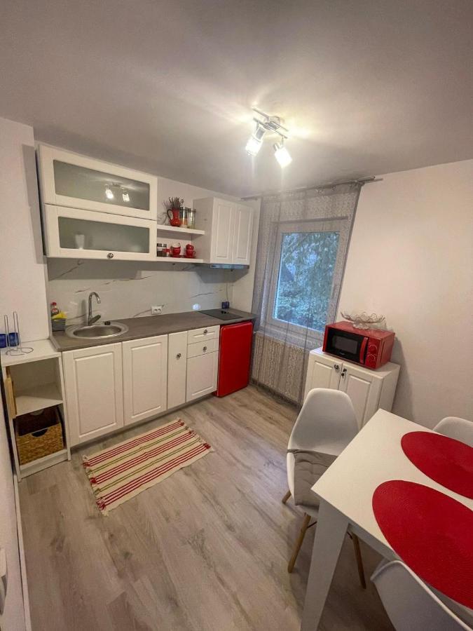 Buzz Apartment Κλουζ-Ναπόκα Εξωτερικό φωτογραφία