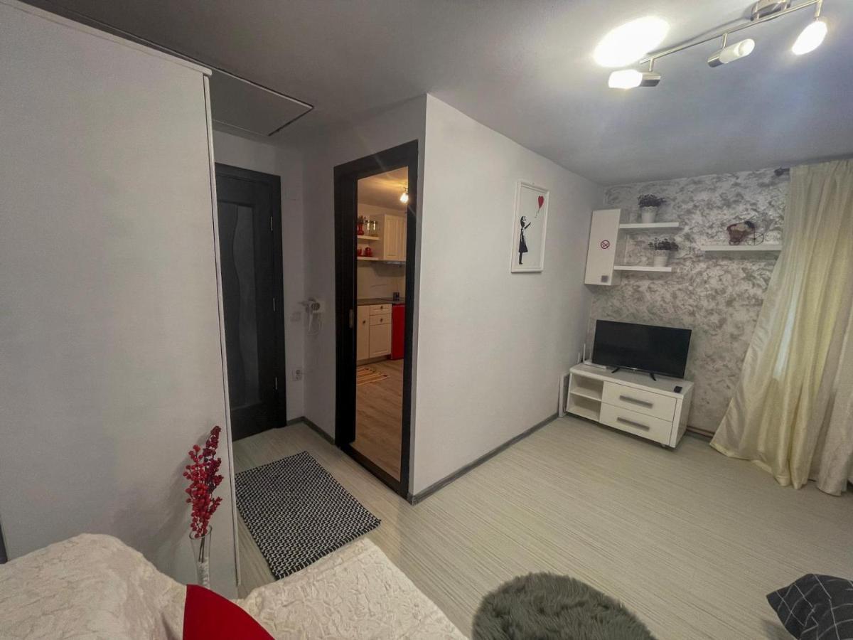 Buzz Apartment Κλουζ-Ναπόκα Εξωτερικό φωτογραφία