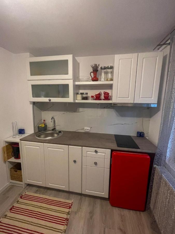 Buzz Apartment Κλουζ-Ναπόκα Εξωτερικό φωτογραφία