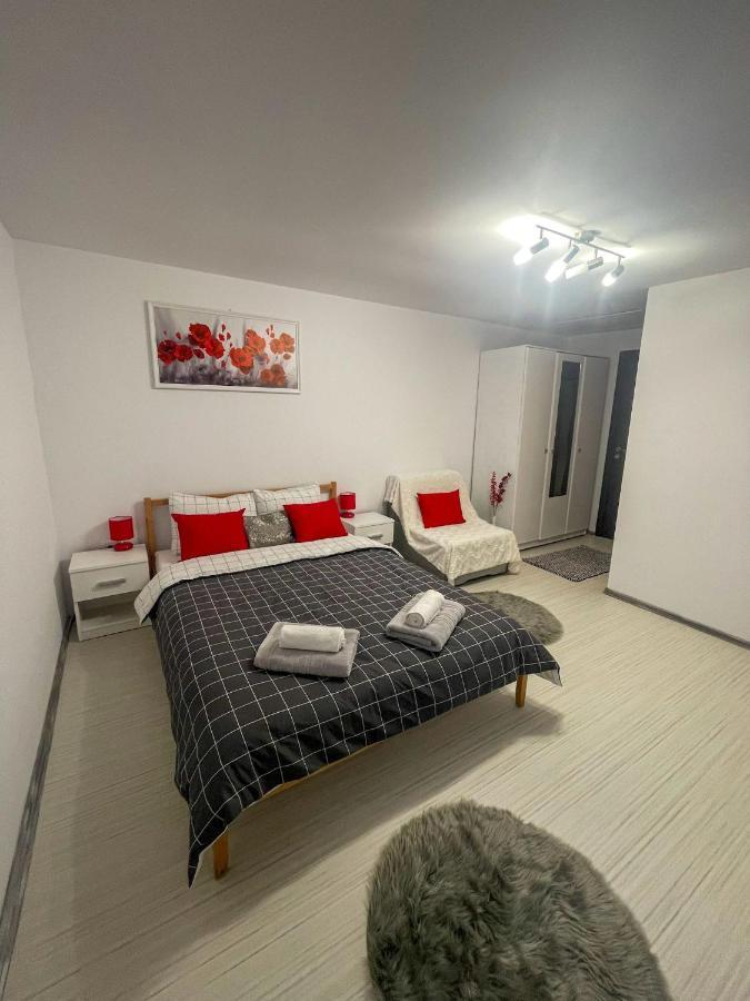 Buzz Apartment Κλουζ-Ναπόκα Εξωτερικό φωτογραφία