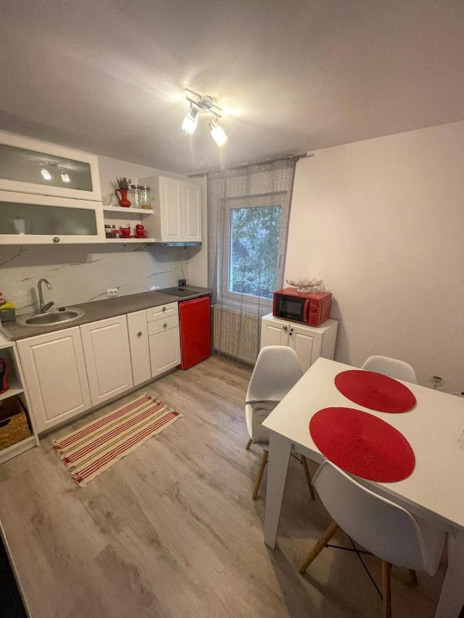 Buzz Apartment Κλουζ-Ναπόκα Εξωτερικό φωτογραφία